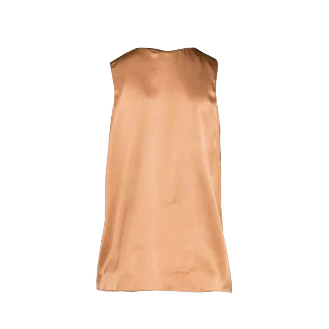 Pinko Vest Dames Bruin