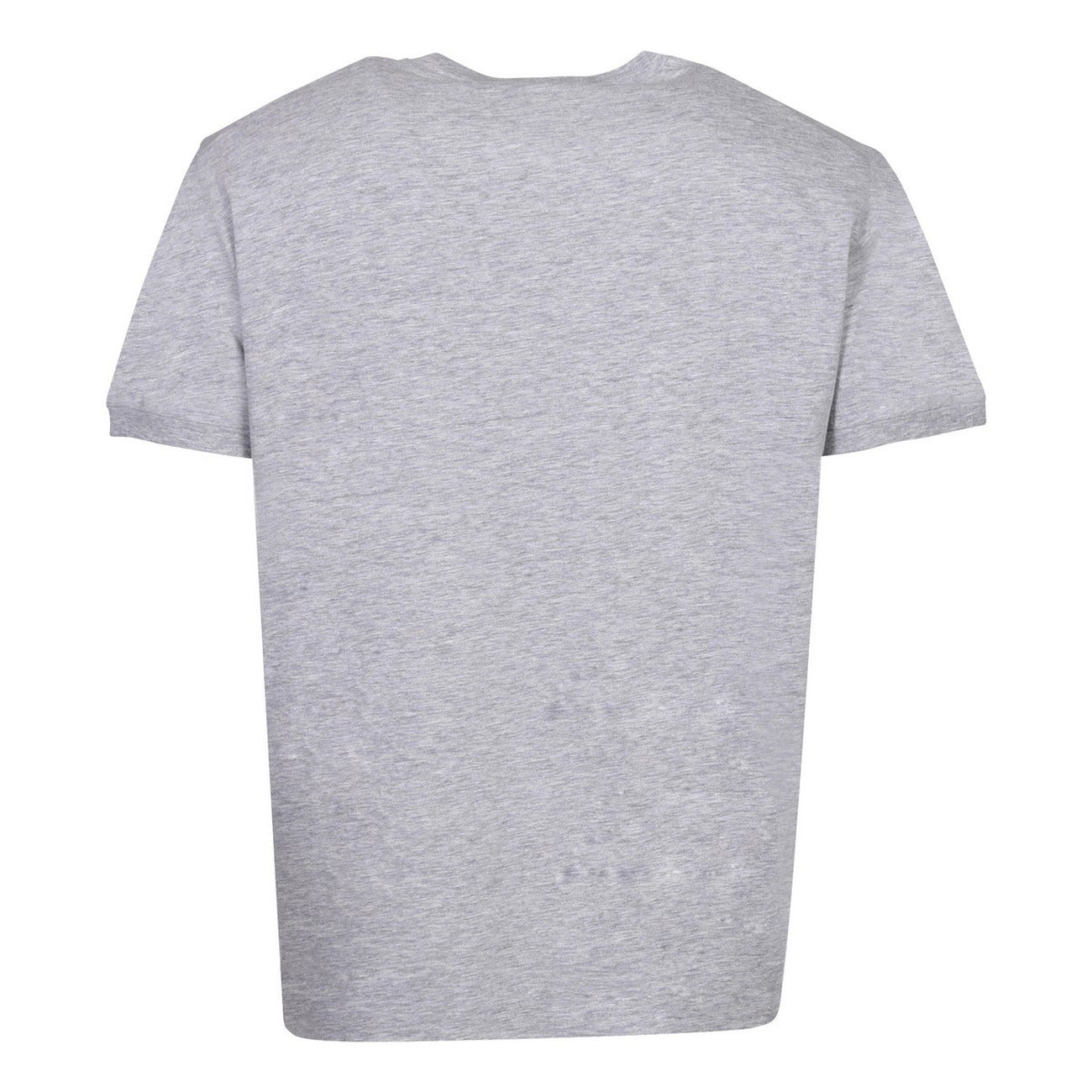 Dsquared T-shirt Heren Grijs