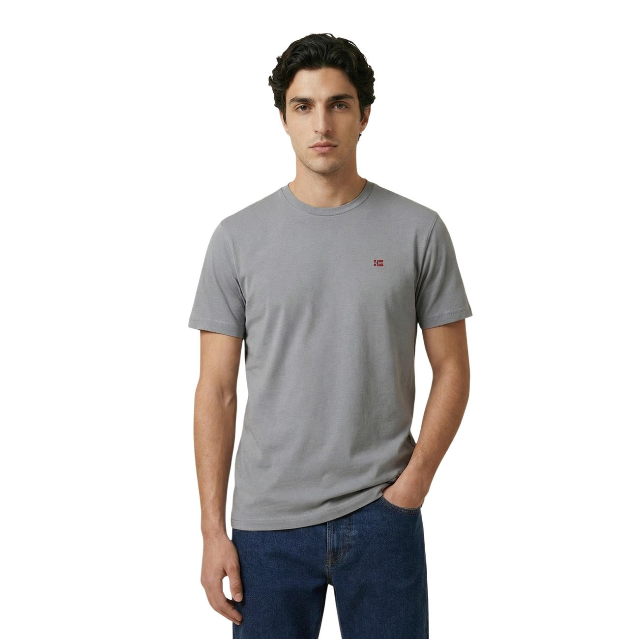 Napapijri T-Shirt Herren Grau