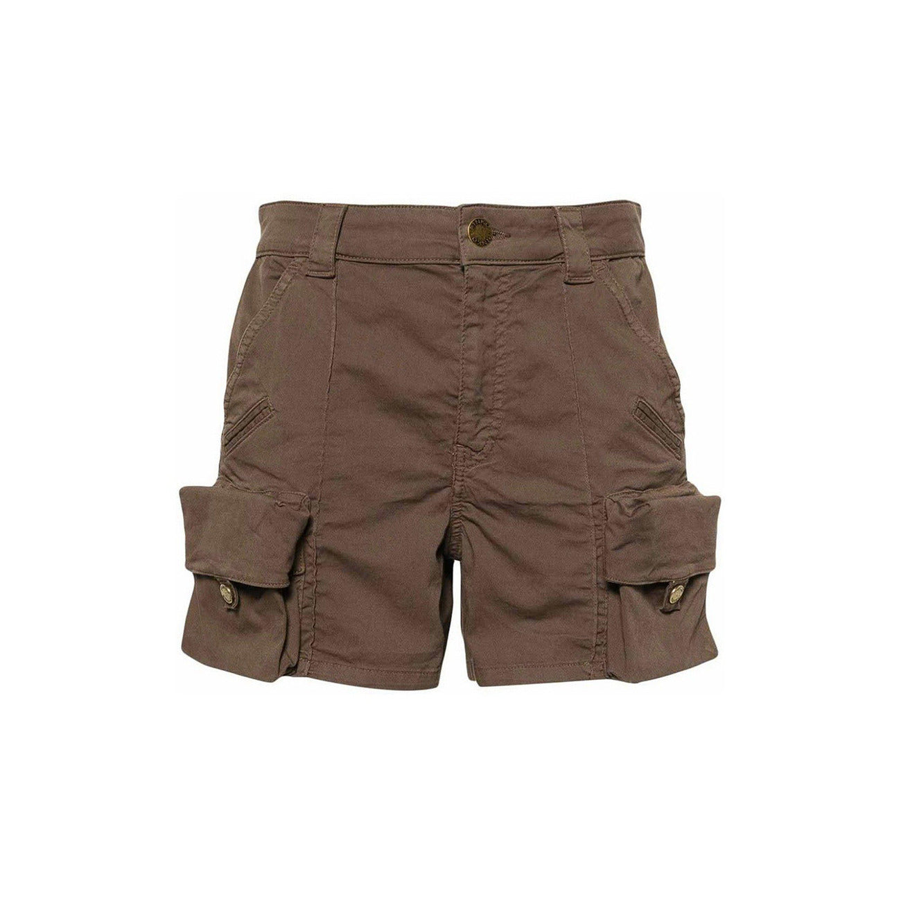 Pinko Shorts Damen Braun